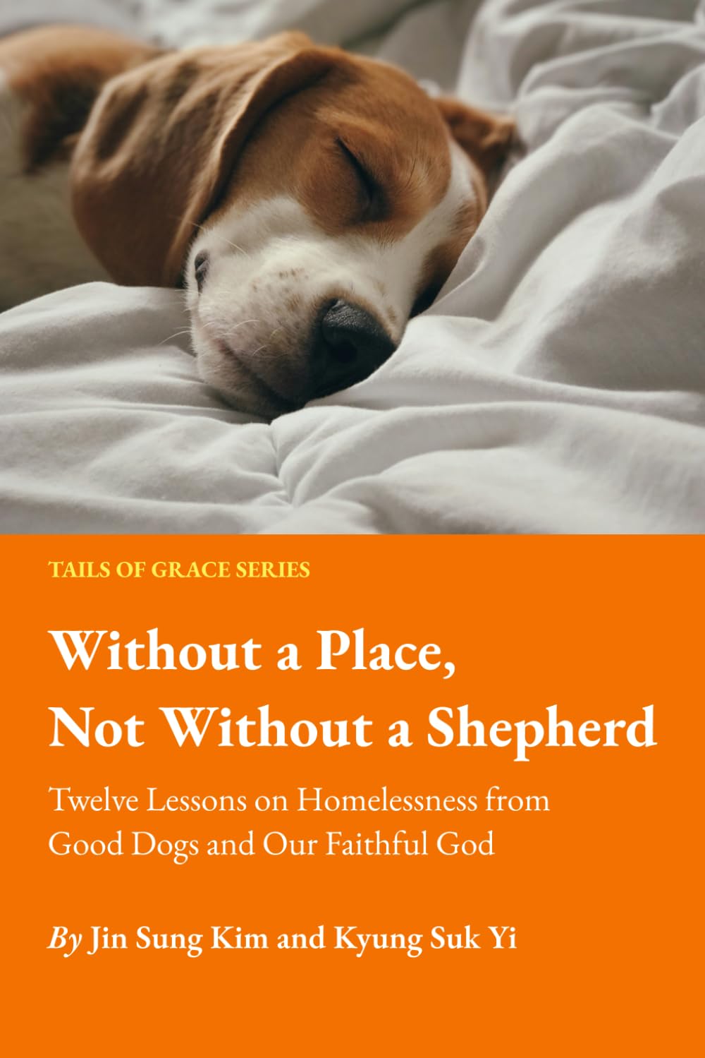 Cover of Book 05: Without a Place, Not Without a Shepherd