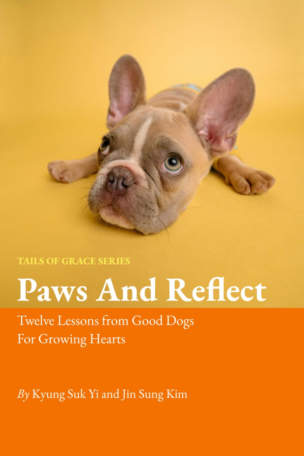Cover of Book 06: Paws And Reflect