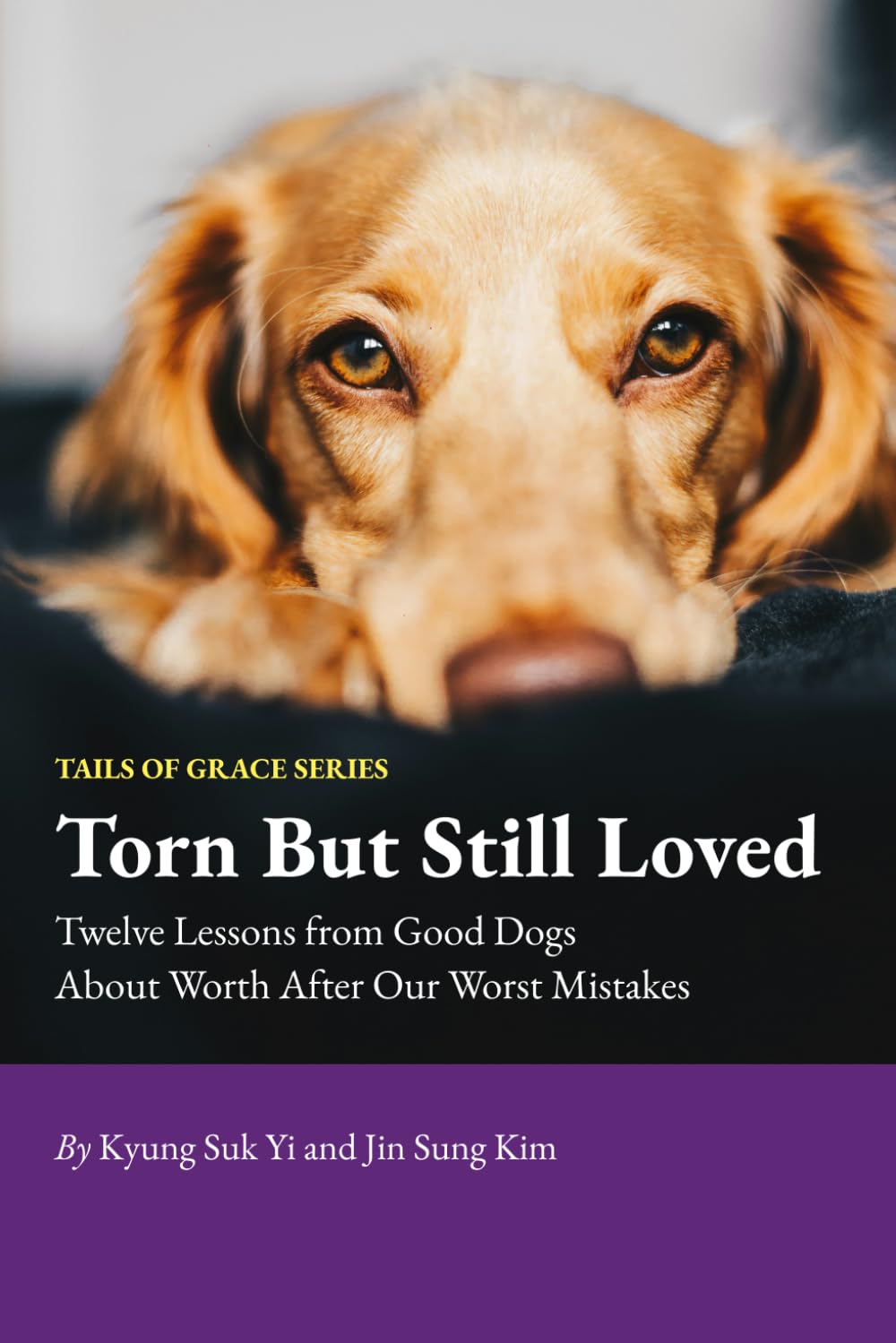 Cover of Book 07: Torn But Still Loved