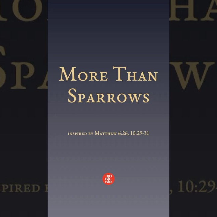 Album cover for More Than Sparrows